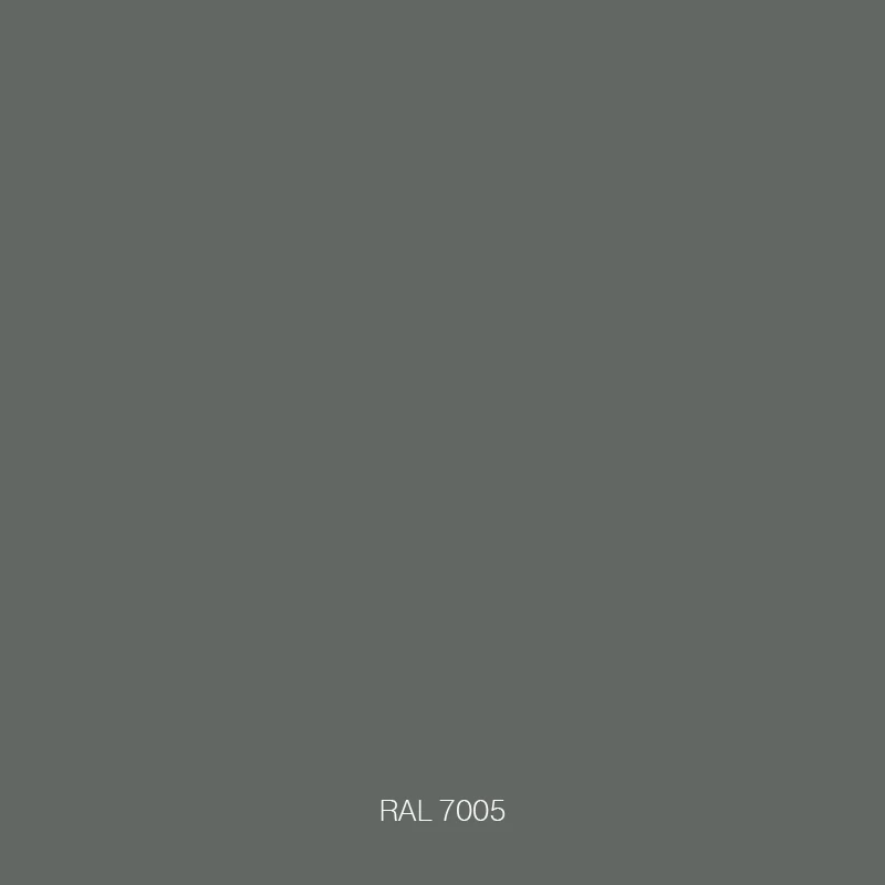 RAL 7005