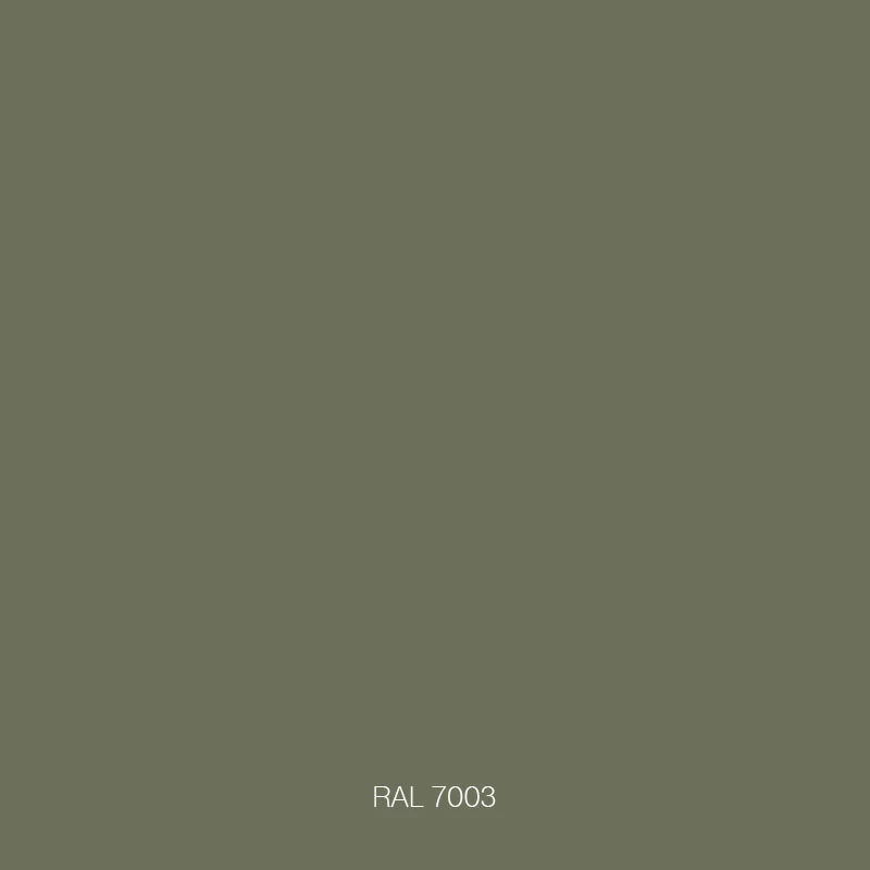 RAL 7003