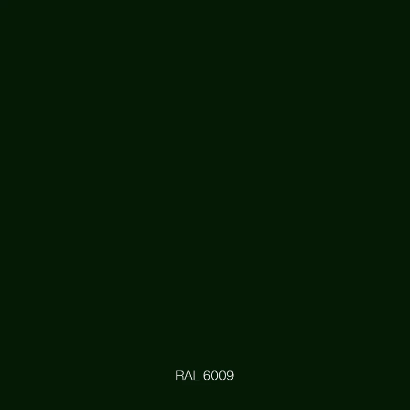 RAL 6009