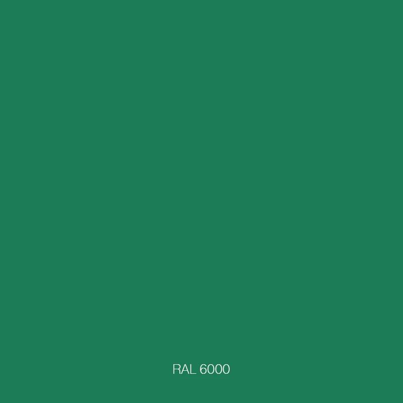 RAL 6000