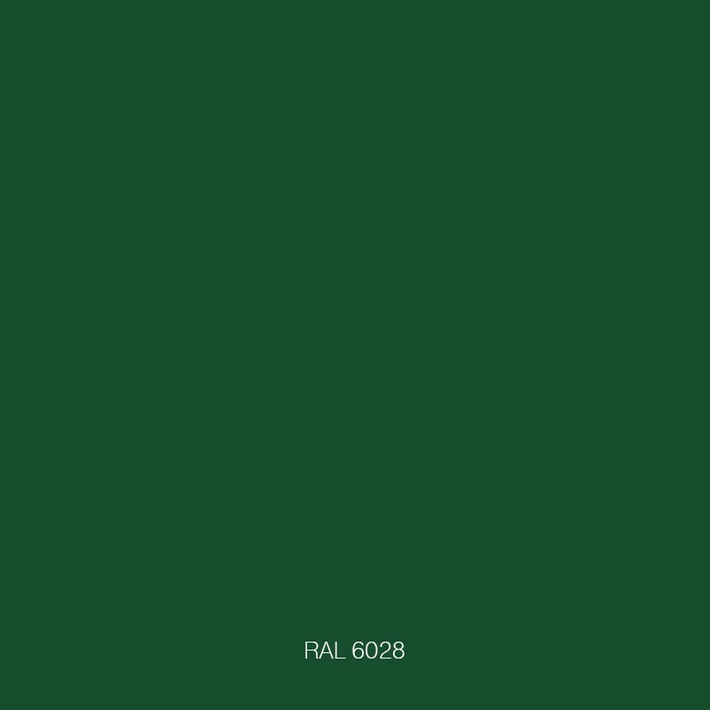 RAL 6028