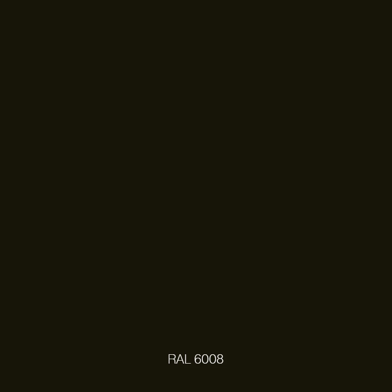 RAL 6008