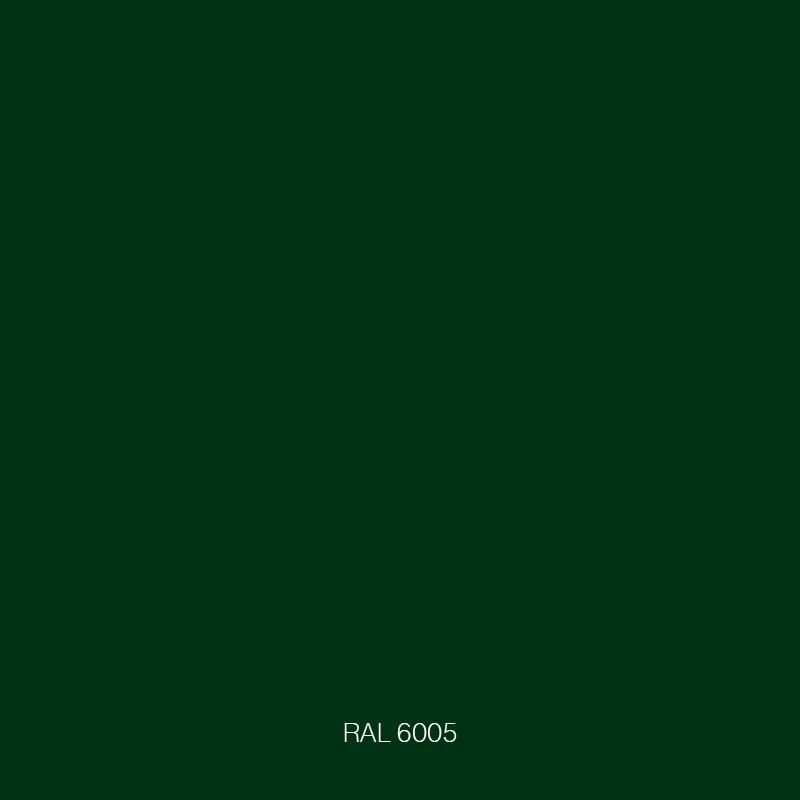 RAL 6005
