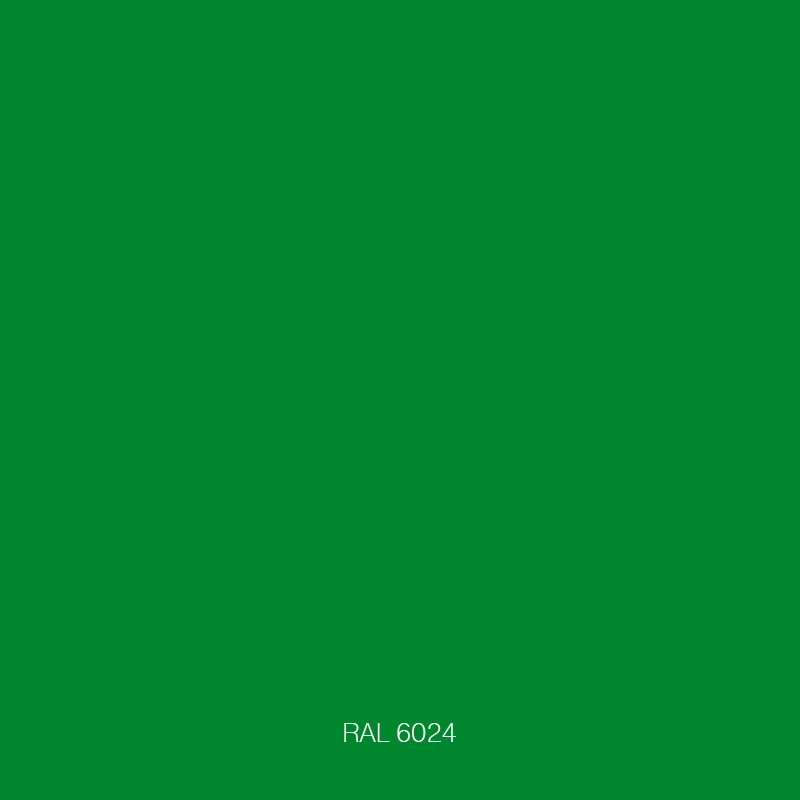 RAL 6024