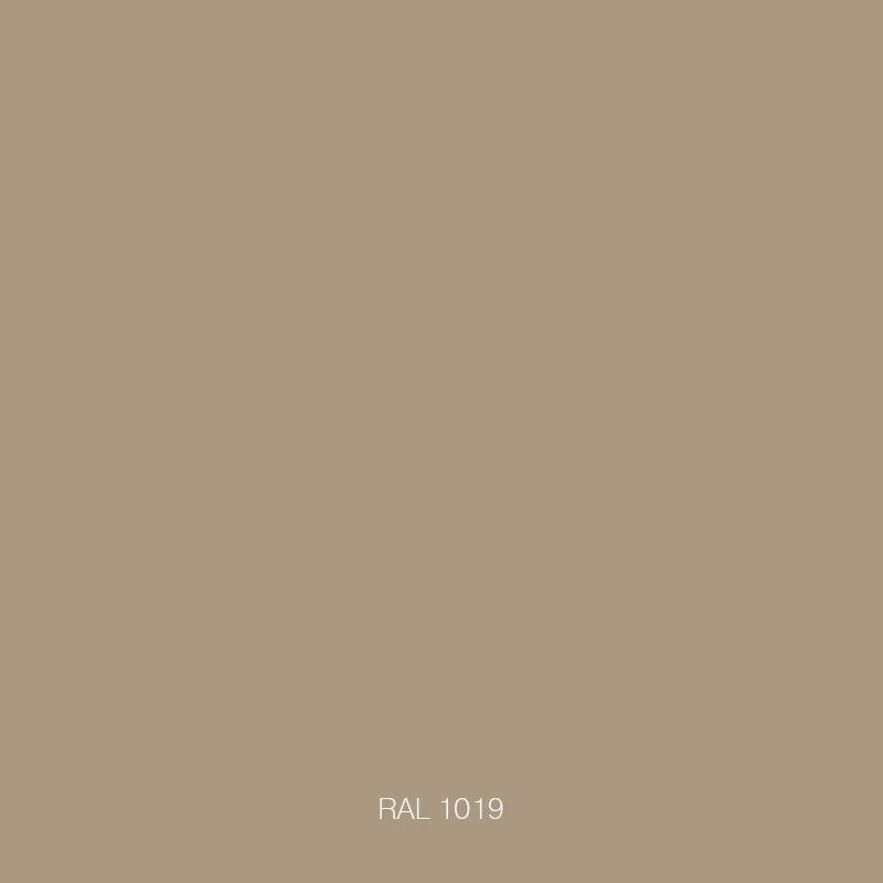 RAL 1019