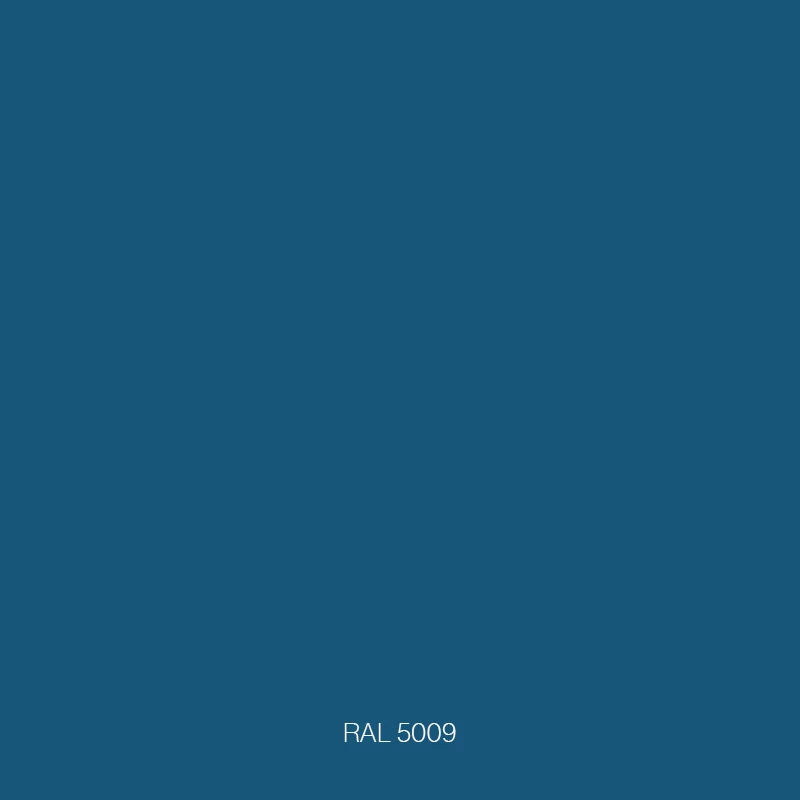 RAL 5009