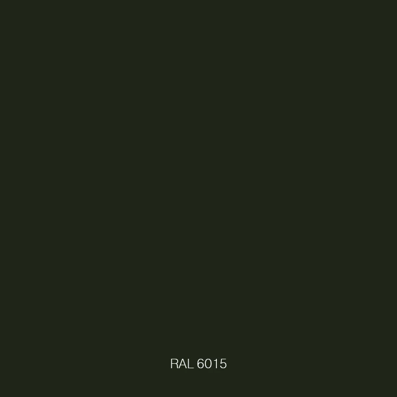 RAL 6015