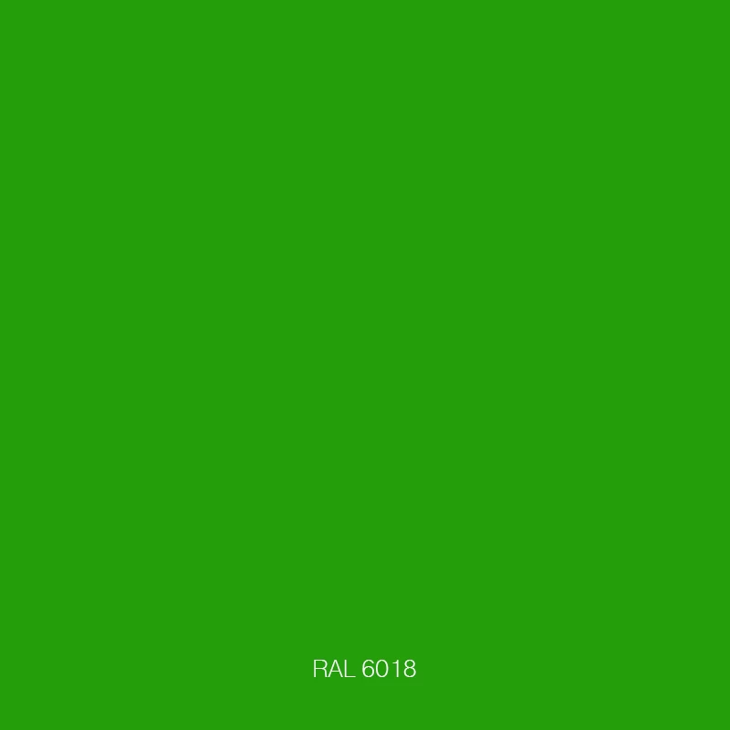 RAL 6018