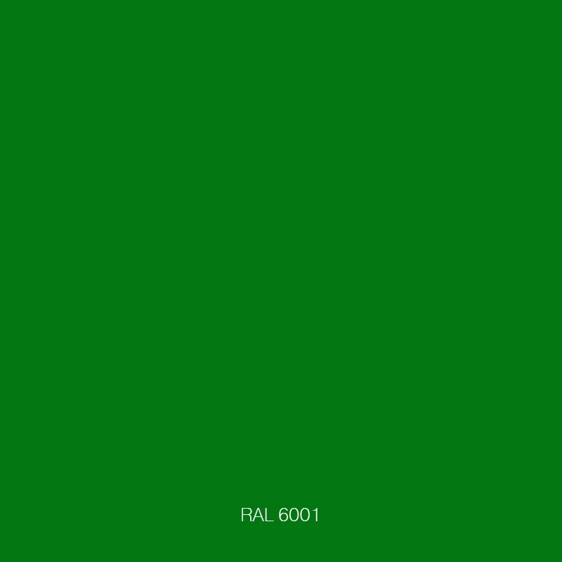 RAL 6001