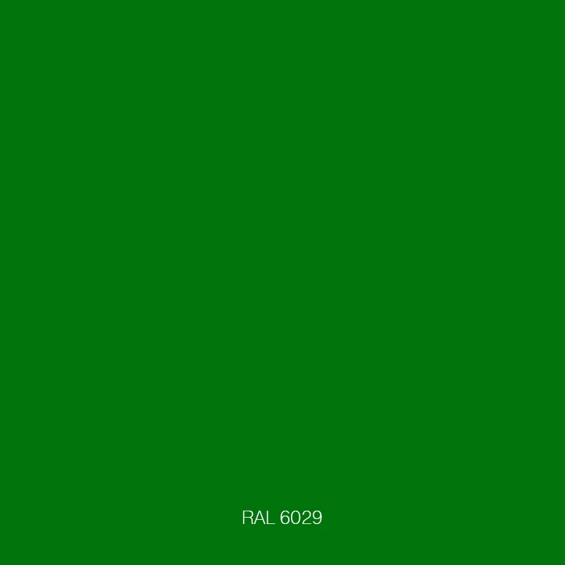 RAL 6029