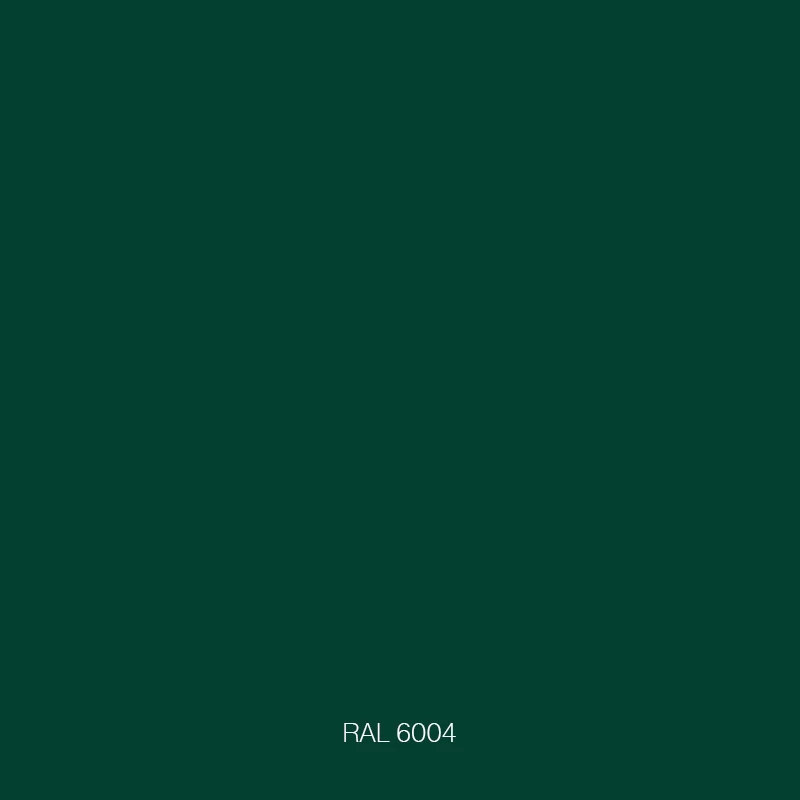 RAL 6004